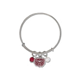 Fan Frenzy Gifts Missouri State Bears Officially Licensed Bangle Bracelet